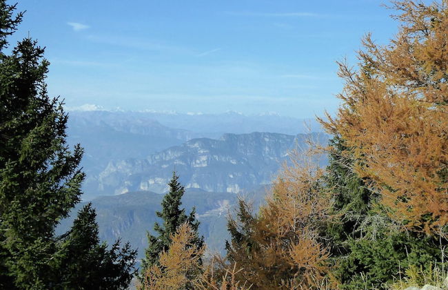 Belvilla by OYO Baita Silana - Foto 38