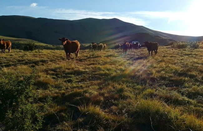 Luiperdkloof Trout Lodge - Foto 9