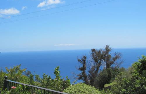 Blooming Botanic Houses - Foto 9