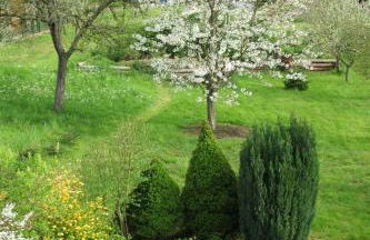 Ferienwohnungen Wilhelmi - Foto 14