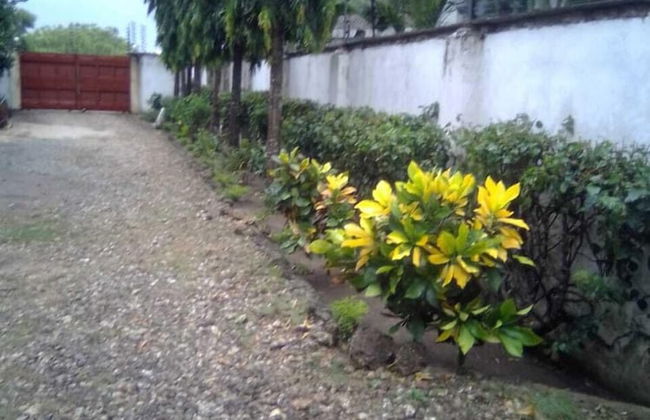 Micmoll Paradise - Photo 21