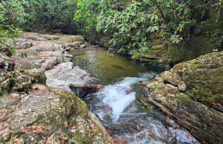 Natureza Loft - Foto 39