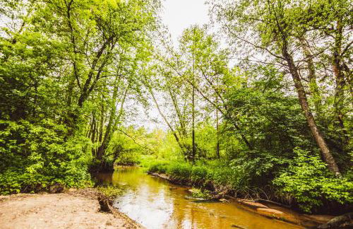 Autumn Nature Cottage Stove Garden by PolandBnB - Foto 12
