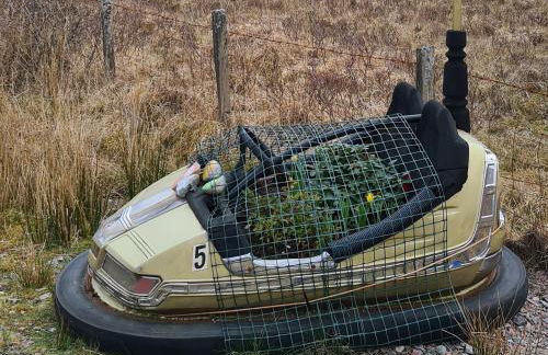 Watercolour - Photo 20