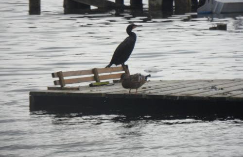 Dom letniskowy - Foto 21