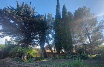 La maison de maître - Foto 16