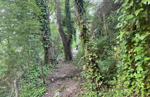 Casa Artista - Foto 20