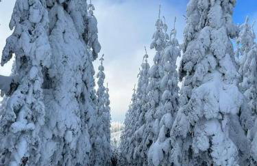 Haus Konthé, appartement - Foto 69
