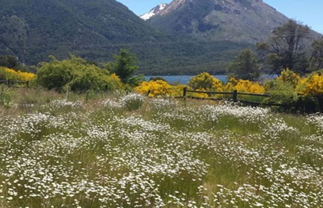 Casa del Lago - Photo 34