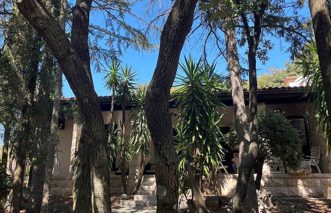 Holiday Home Božo - Foto 17