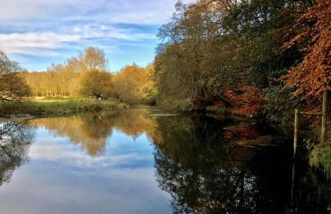 Criddlestyle Cottage - 5 bedroom New Forest Holiday Home - Foto 41