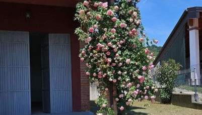 A casa di Thelma - Foto 3