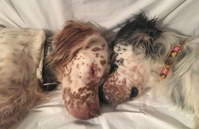 Setter House Agri Hotel - Foto 73