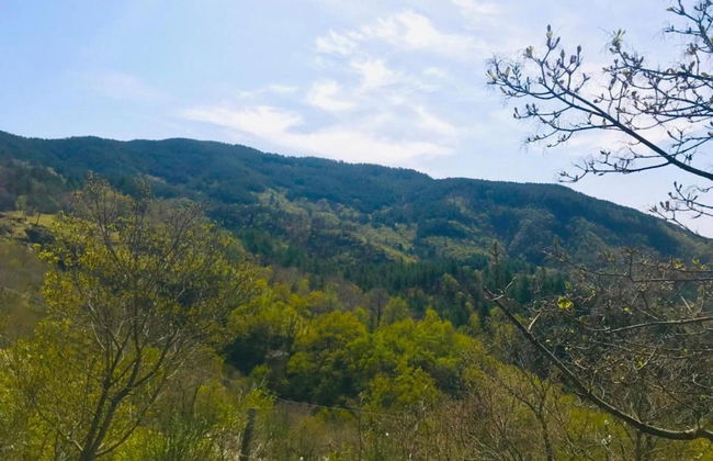 Farmhouse in Tuscany With Pool & Valley Views - Foto 35