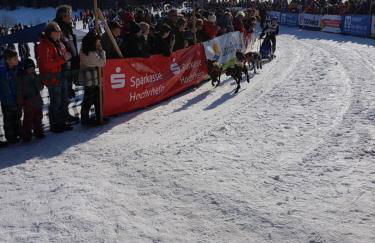 FeWo mit Pool Haus Enere Au - Foto 20