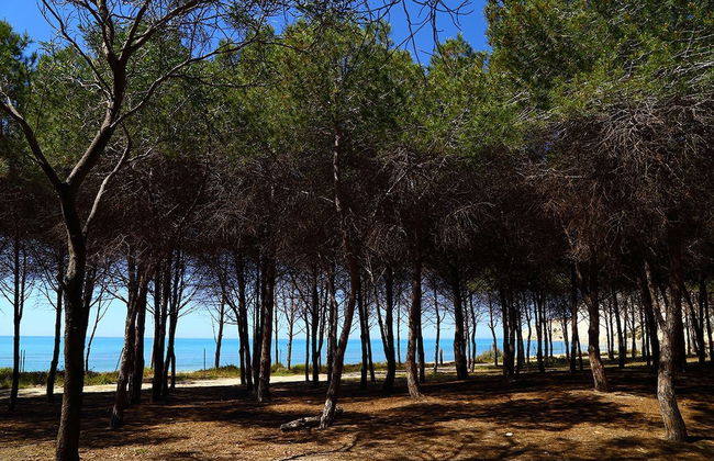 Eraclea Minoa Village - Foto 28