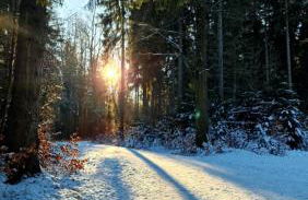 Familienfreundliche große Fewo Peter in Bärenstein bis 5 Personen - Foto 50