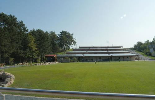 Seeoase Lychen - Photo 37