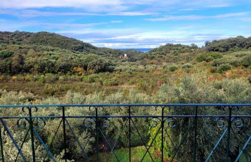 Gelbes Haus Korfu - Foto 31