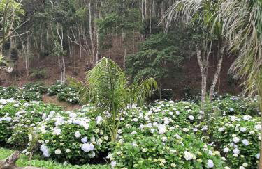Chalé Pakere Bellavista - visão magnífica do vale e montanhas a mais de mil metros de altitude, wi-fi, sauna, piscina e água de nascente - locação do chalé sem prestação de serviços - Foto 57