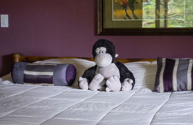 Monos Locos - Portasol Vacation Rental - Foto 7