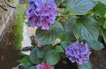 Gîte 2 "Le Tilia " aux magnolias 3 étoiles - Foto 25