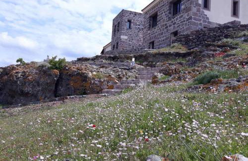 Seaview Villa - Photo 51