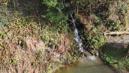 Cosy Clos Y Hendy Lodge - Foto 4