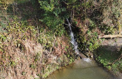 Cosy Clos Y Hendy Lodge - Foto 4