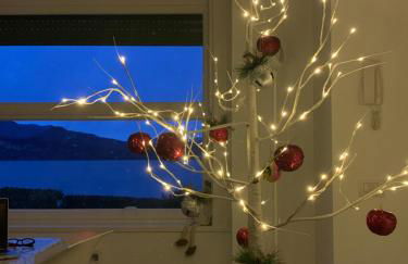 La mia casa sul lago con vista mozzafiato - Foto 57