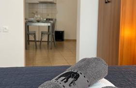 Elefanti Nani - Foto 27