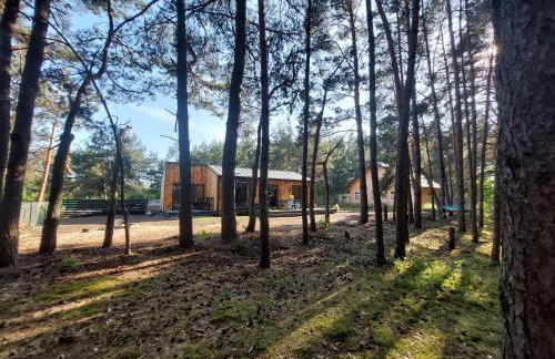 Woodland - dom z sauną i balią - Foto 23