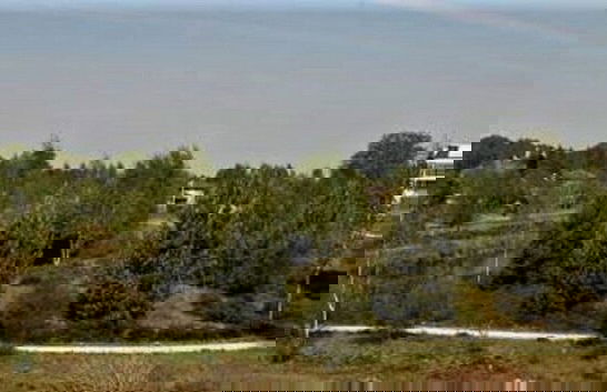 Homely Apartment in Noordwolde With Balcony - Foto 22