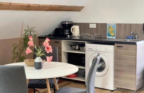 Appartements de Diane - JOIGNY - Foto 48