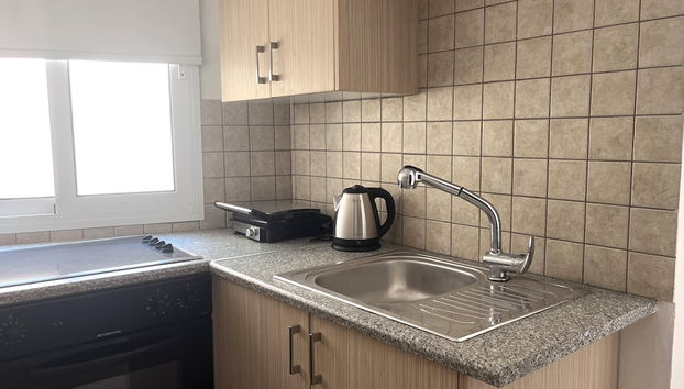 Phaedrus Living: Hoopoe Residencies 101 - Foto 5, Cocina privada