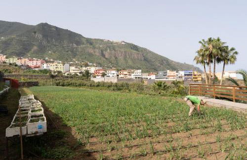 Finca Pico - Foto 35