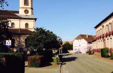 ALSACE Gîte 3étoiles climatisé prox Colmar, Eguisheim, parking, jardin - Foto 21
