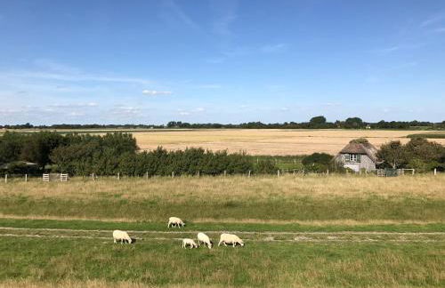 Beach Home - Photo 42