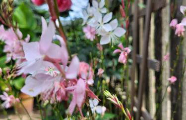 Gościniec Pod Bukiem - Foto 13