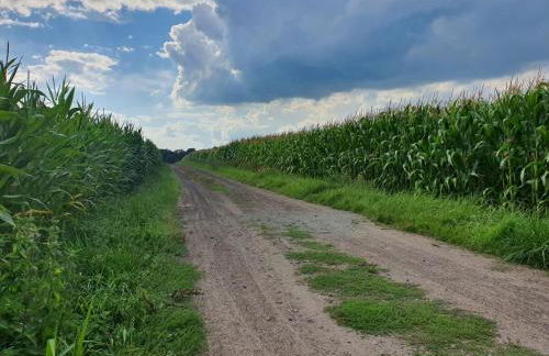 Ferienwohnung Zwischen den Feldern - Foto 6
