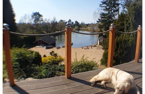 Holiday home in Güster with swimming pool - Foto 14