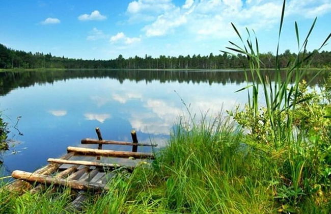 Holiday Home by Lake Jamno With Pool - Foto 27