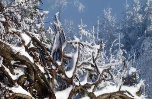 Hideaway Near Black Forest - Photo 77