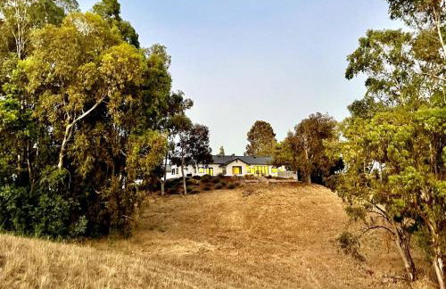 Sunset View Luxury Living on 5 Picturesque Acres - Foto 28