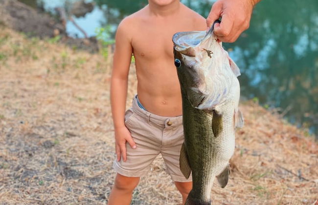 14 Son's Geronimo - Birdhouse Cabin - Foto 32