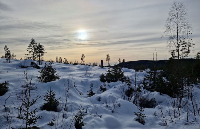 Forest Family Home - Foto 34