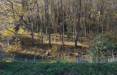 2 double rooms apartment- La Casa di Alice - Foto 52