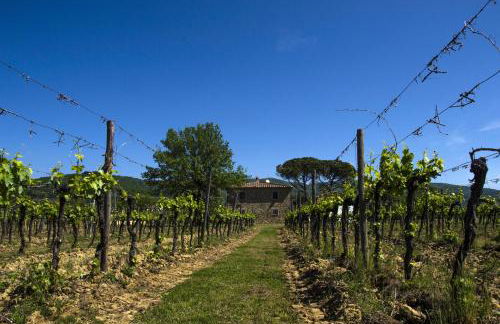 Agriturismo la Concezione - Foto 19