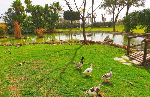 Golf Coast Los Alamos, Primera Linea de Playa - Foto 20