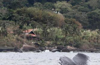 Sol-lua Bangalo com uso exclusivo da piscina - Foto 13